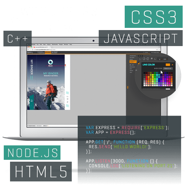 web app development graphic